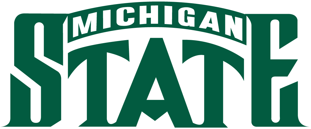 Michigan State Spartans 1987-Pres Wordmark Logo t shirts DIY iron ons
